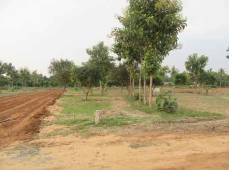 1) Plots for Sale Near Chandragiri.JPG